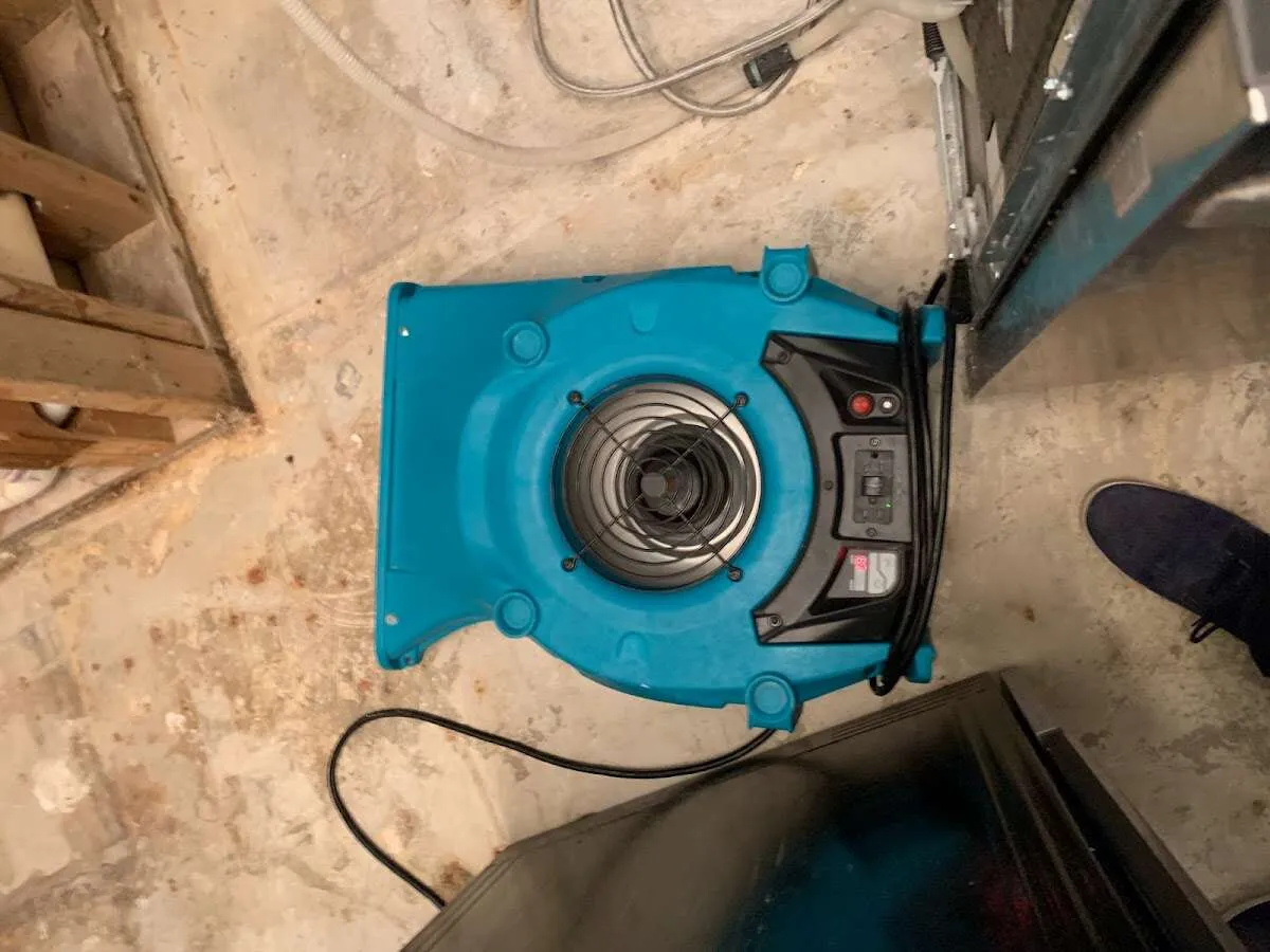 Air mover drying equipment for Mold Remediation & Removal in Fairport